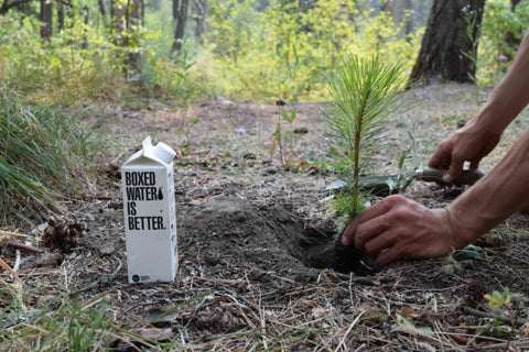 BoxedWater-NFF-Planting