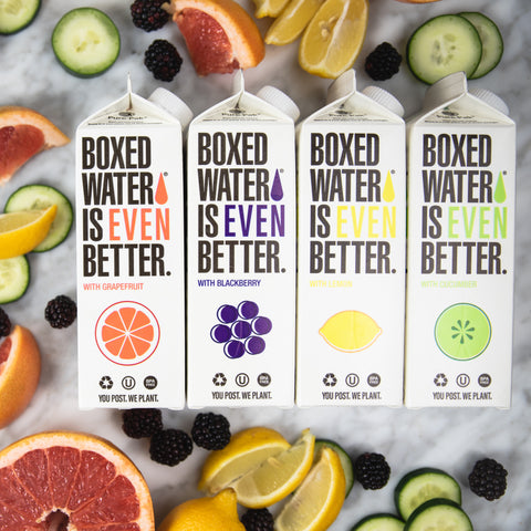 Boxed Water Fruit Flavor Variety Pack