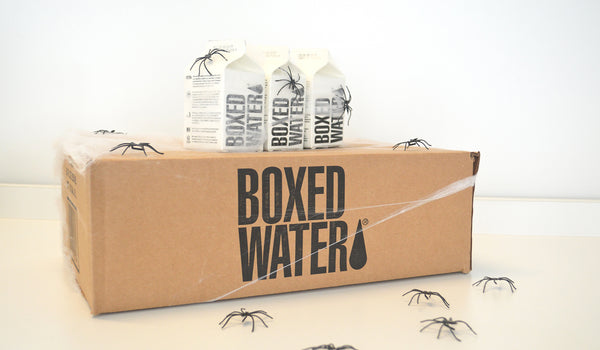 Boxed Water Spider Drinks Supplies