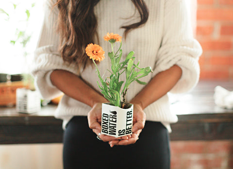 Boxed Water Planter Vase