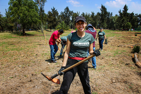 Woman with shovel planting trees