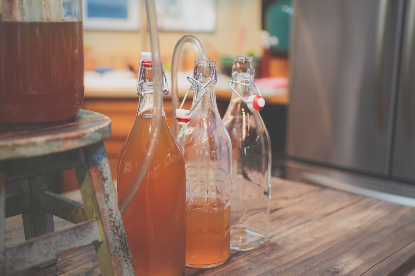 Rhubarb ginger wine recipe