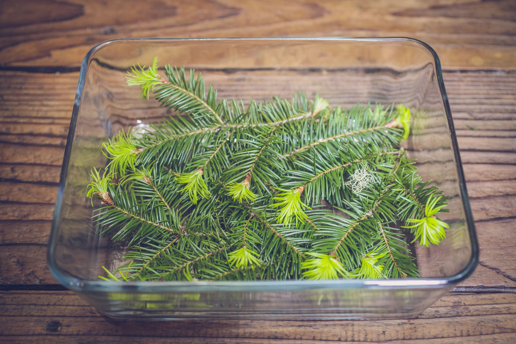 fir lined baking dish