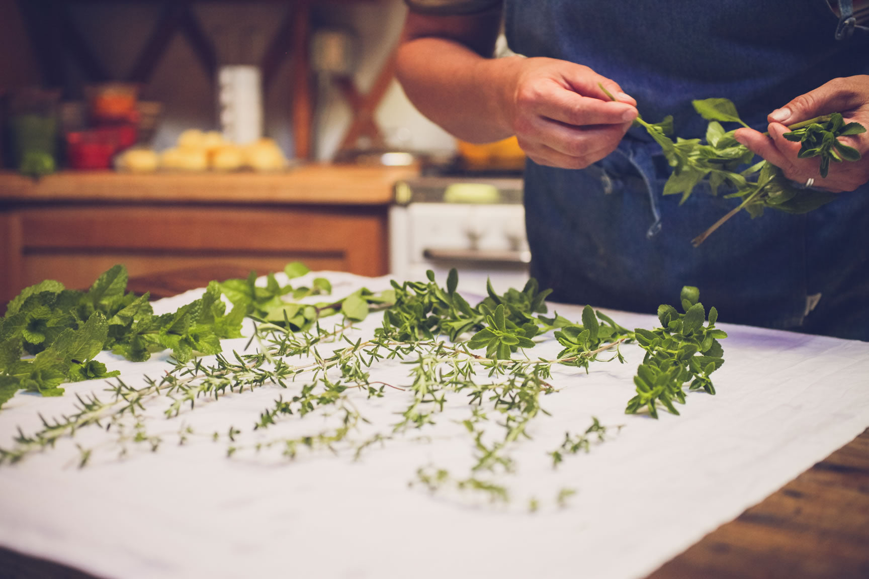 dried herbs