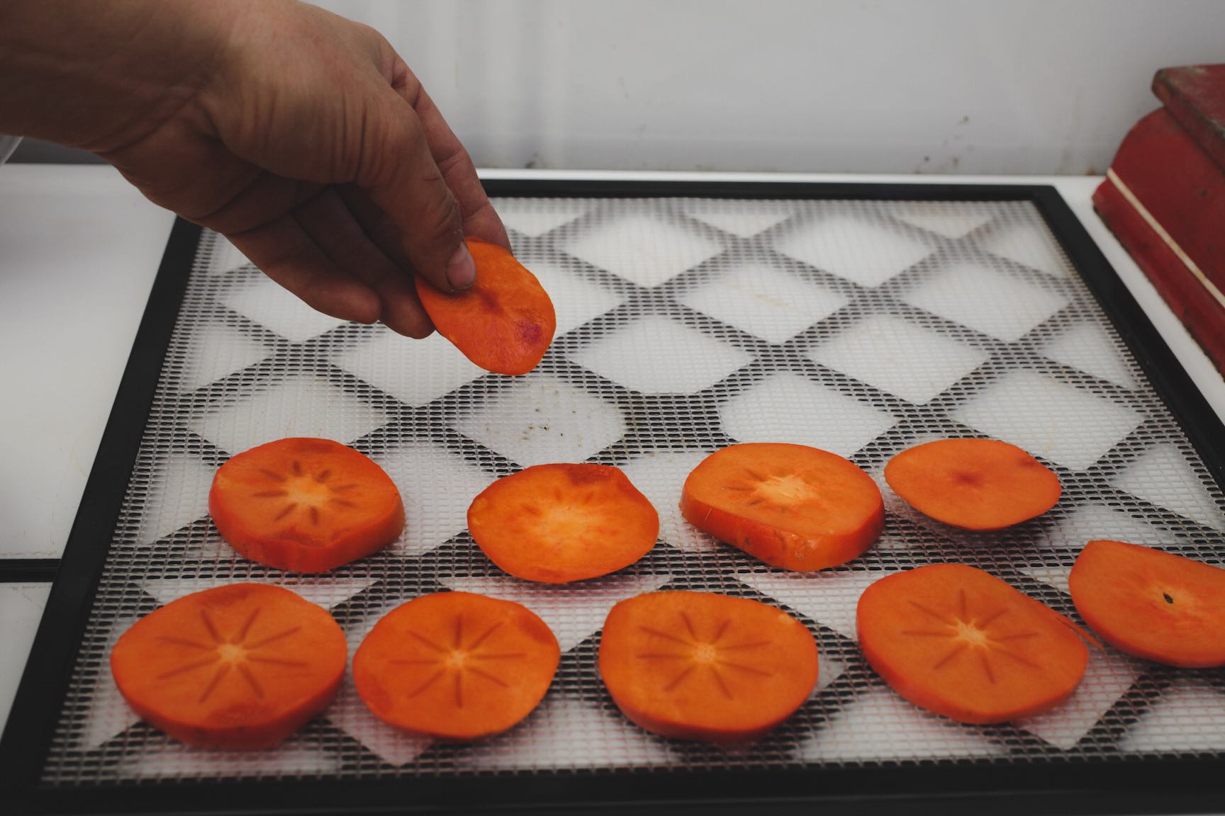 how to make dehydrated persimmons