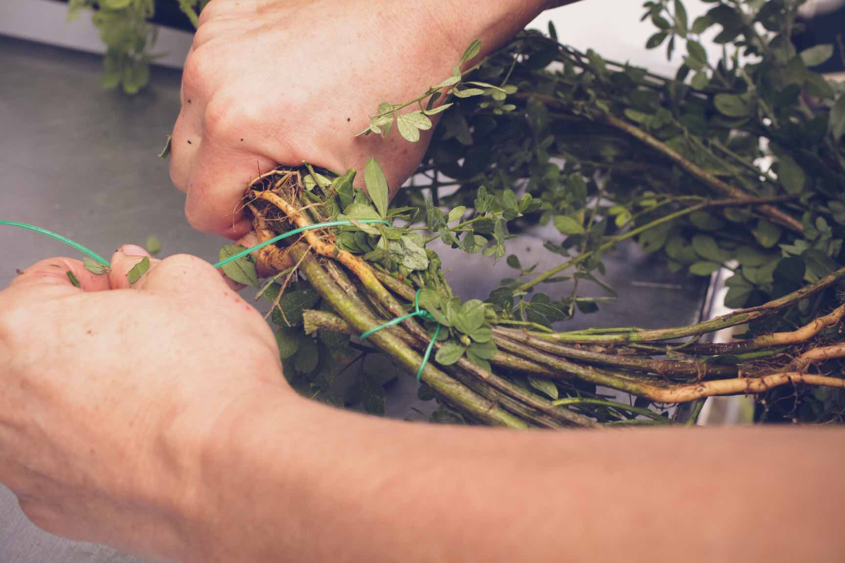 homemade wreath making from found materials