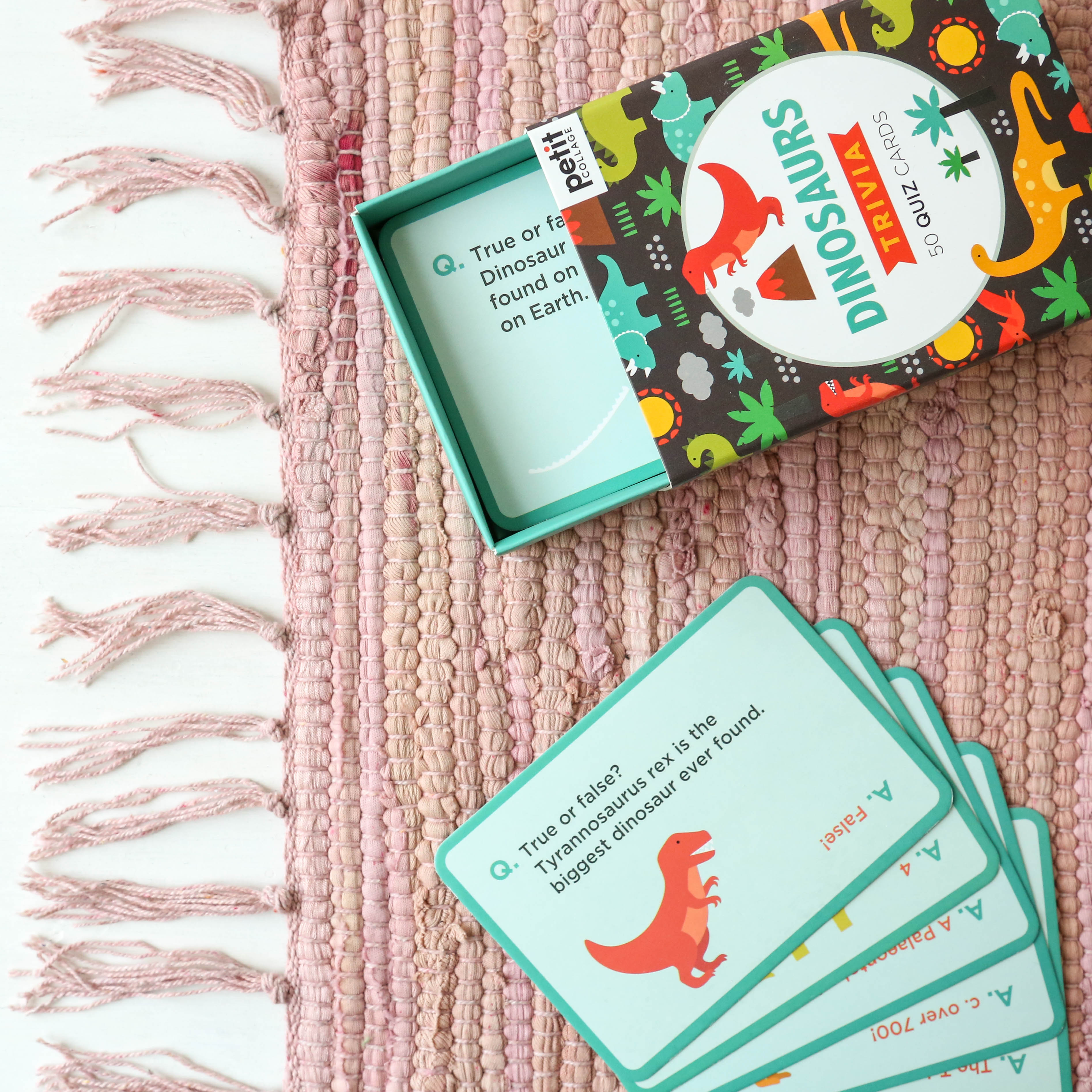 Dinosaur Trivia Cards Berylune