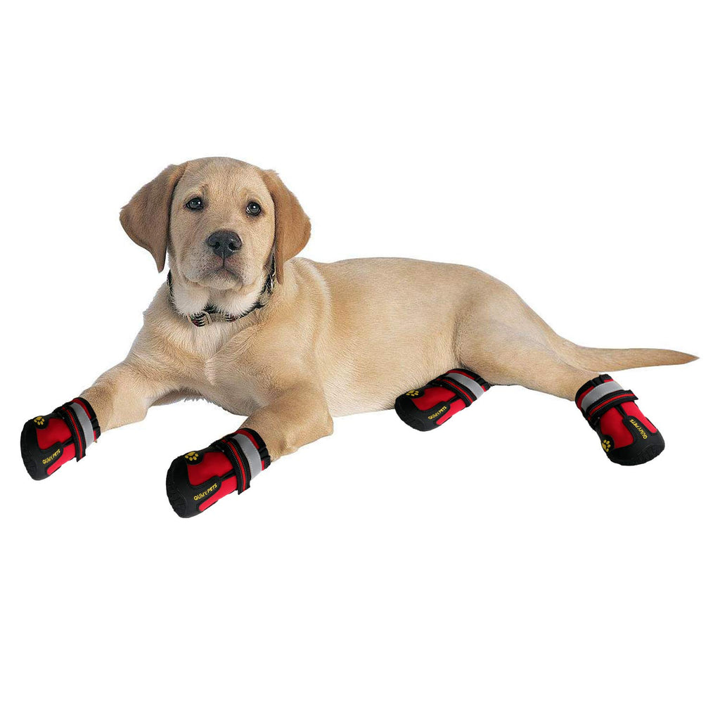 dog shoes for large dogs