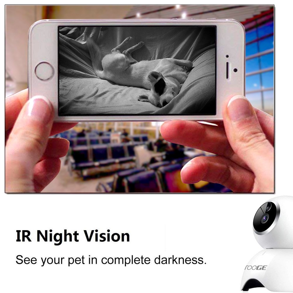 tooge pet camera app
