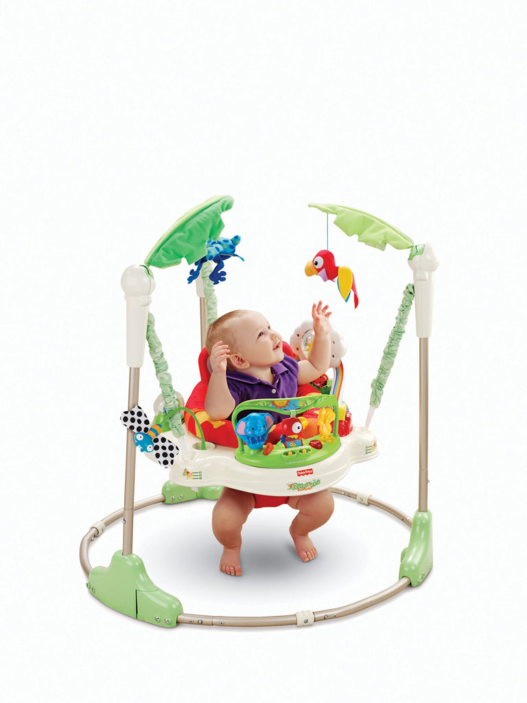 fisher price jumperoo dog