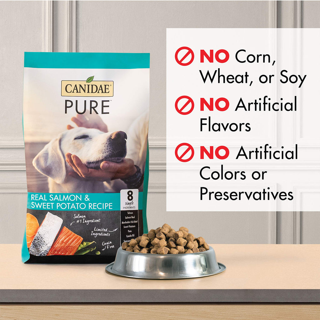 canidae salmon dry dog food