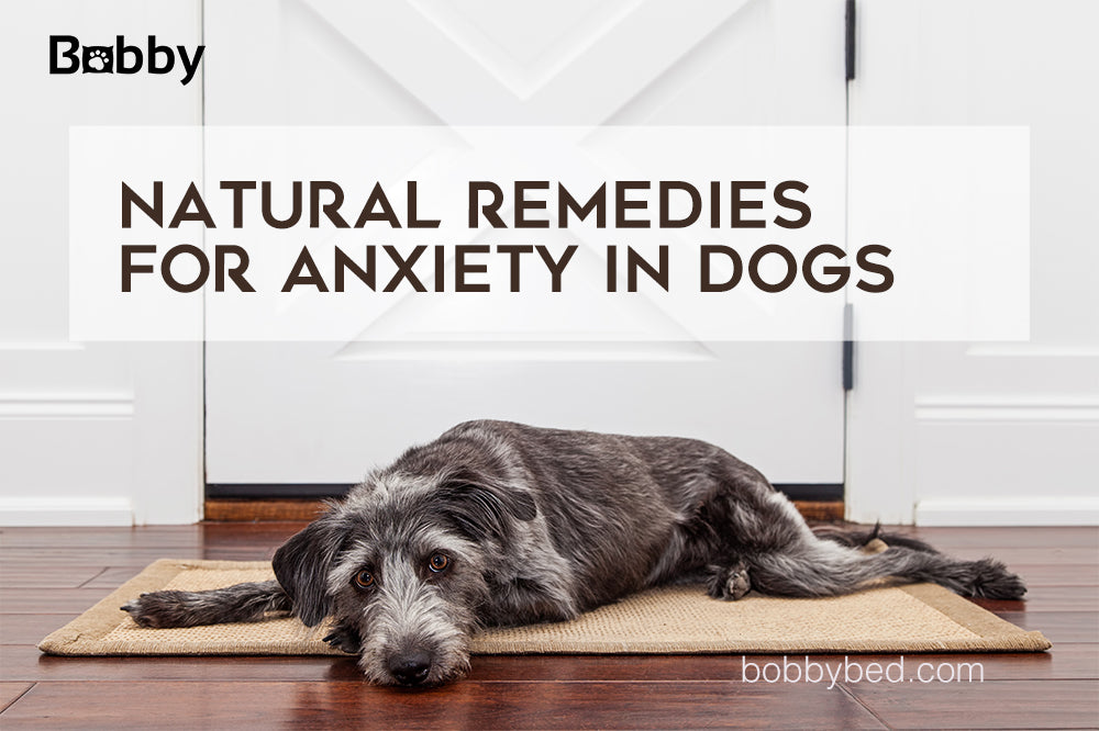what is a natural sedative for a dog