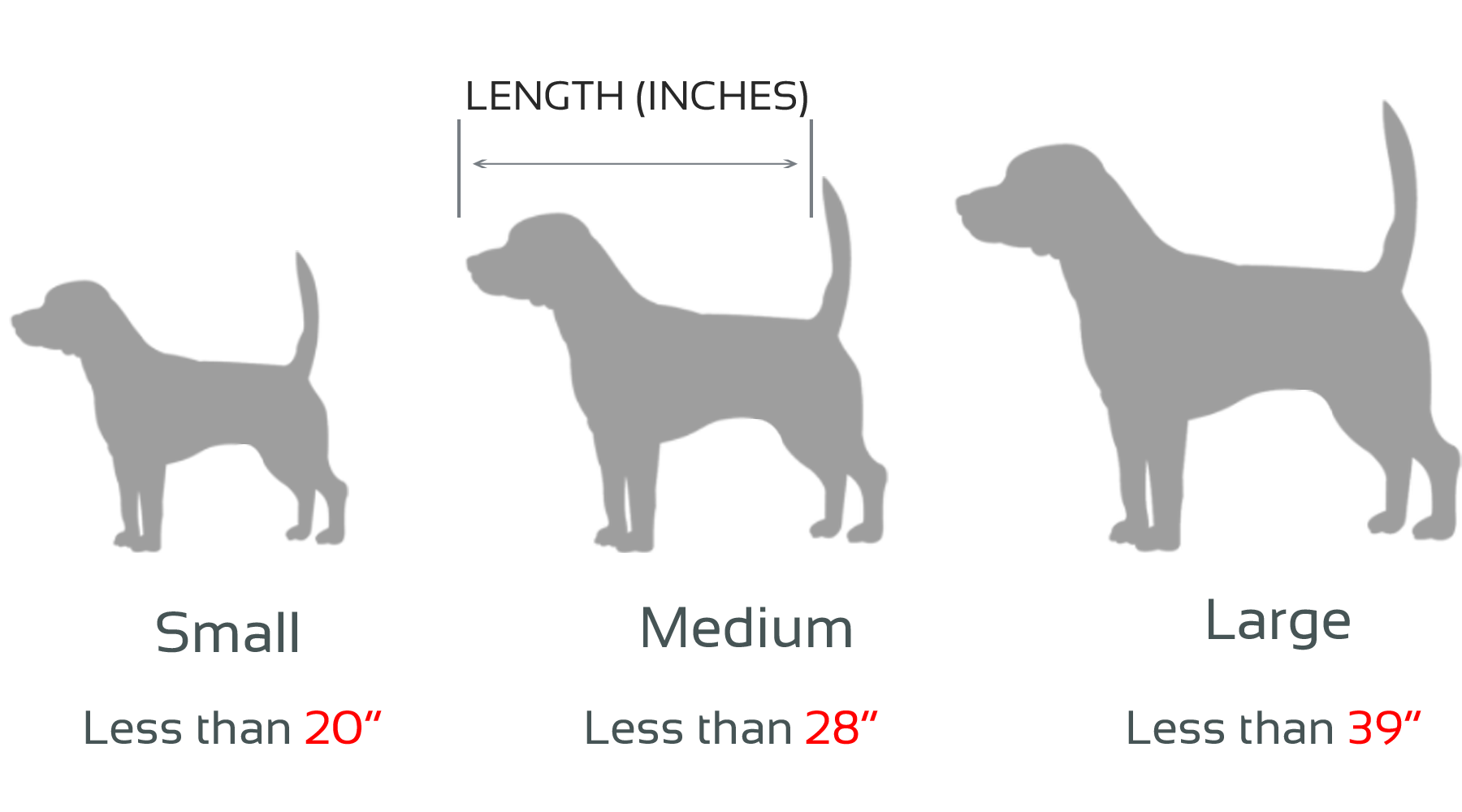 Sizes