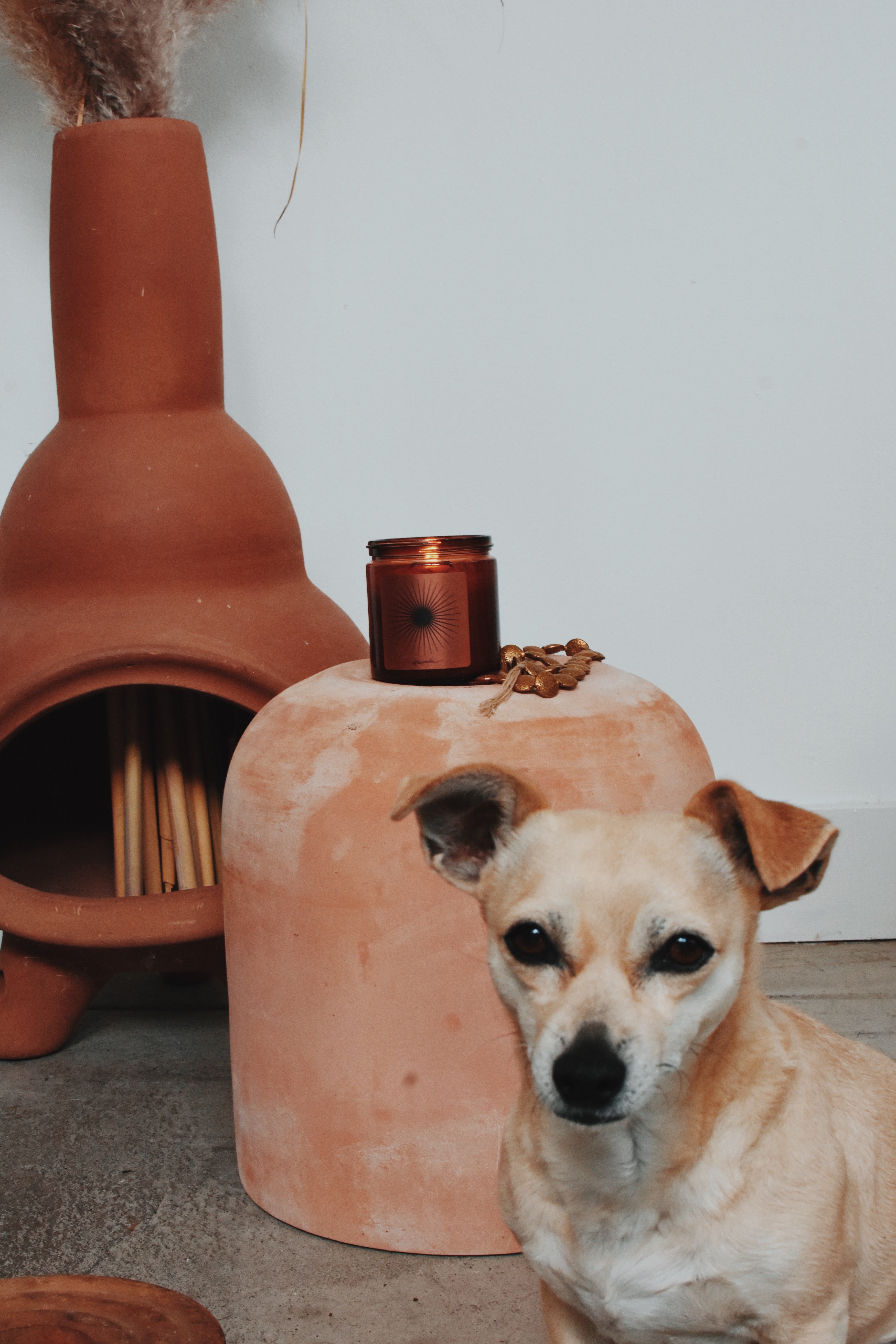 Honey the blond chihuahua photobombing in front of a burning candle on a table with a little chimnea in front.