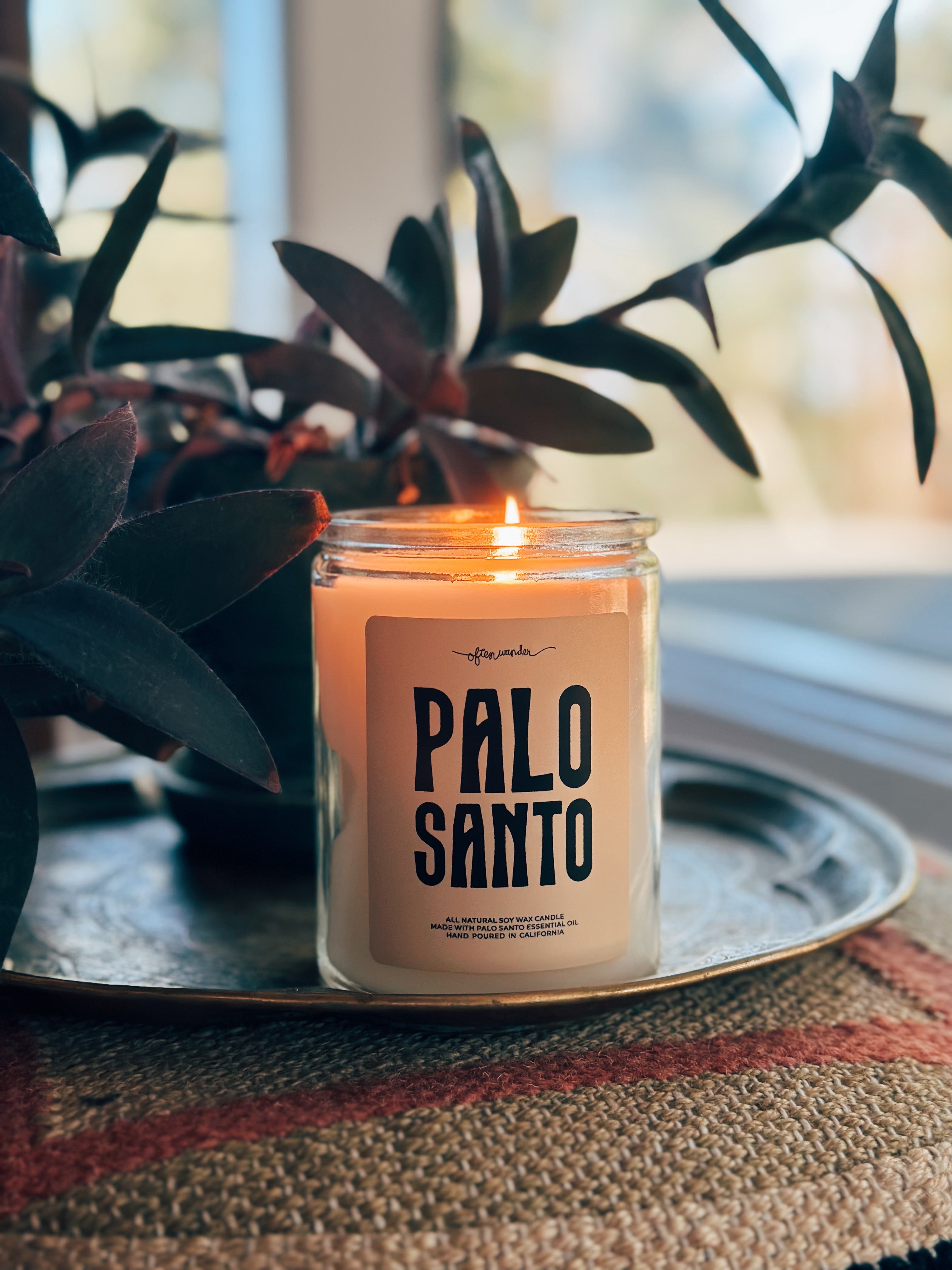 Palo Santo candle burning on an table with a plant behind it in front of a window.