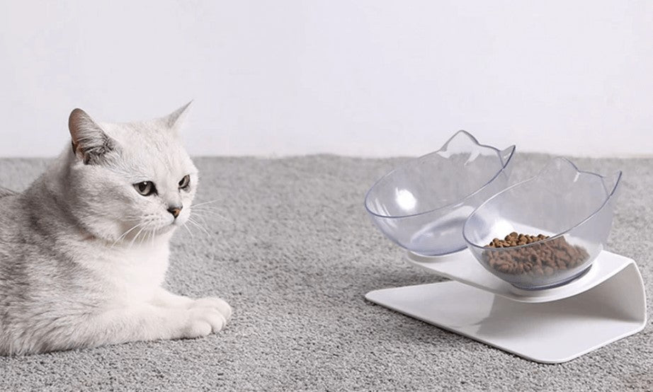 Anti-vomiting-cat-bowl-Posture cat bowl-orthopedic-cat-bowl-raised-cat-bowl-elevated-cat-feeder-cat-bowls-with-stand-large-cat-bowl