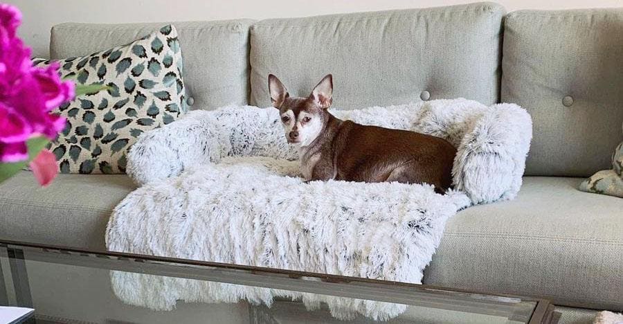 Calming Couch Heaven dog bed sofa protector