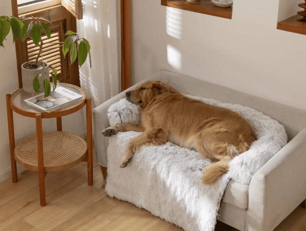 CALMING-COUCH-HEAVEN-sofa-dog-bed