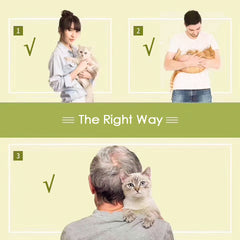 the correct way to hug a cat