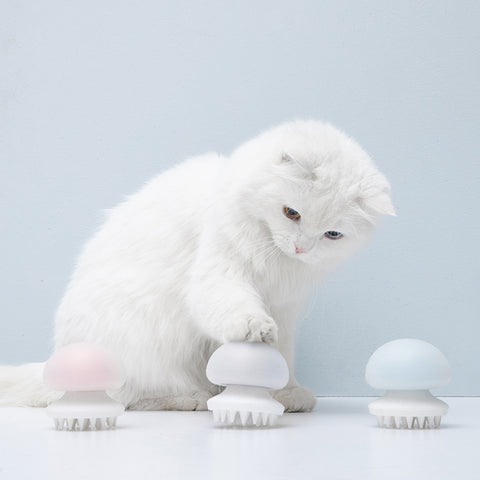 aipaws cat hair brush