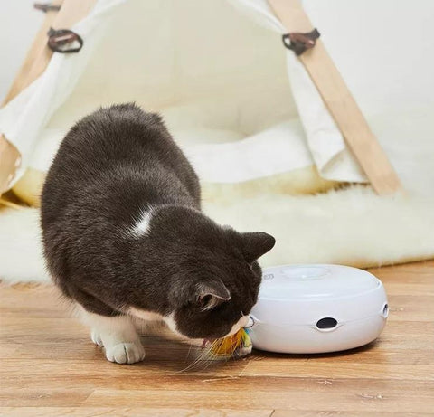 Smart Toys for Cat Boredom – The Homerun Electronic Doughnut Cat Toy –  aipaws