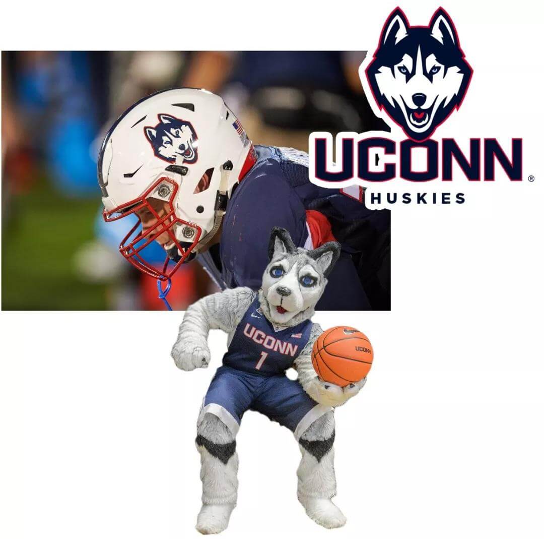 University of Connecticut mascots husky
