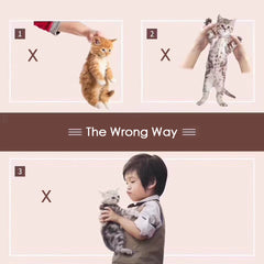 the wrong way to hug a cat
