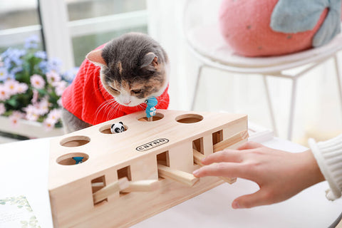 Carno Whack a mole cat toy