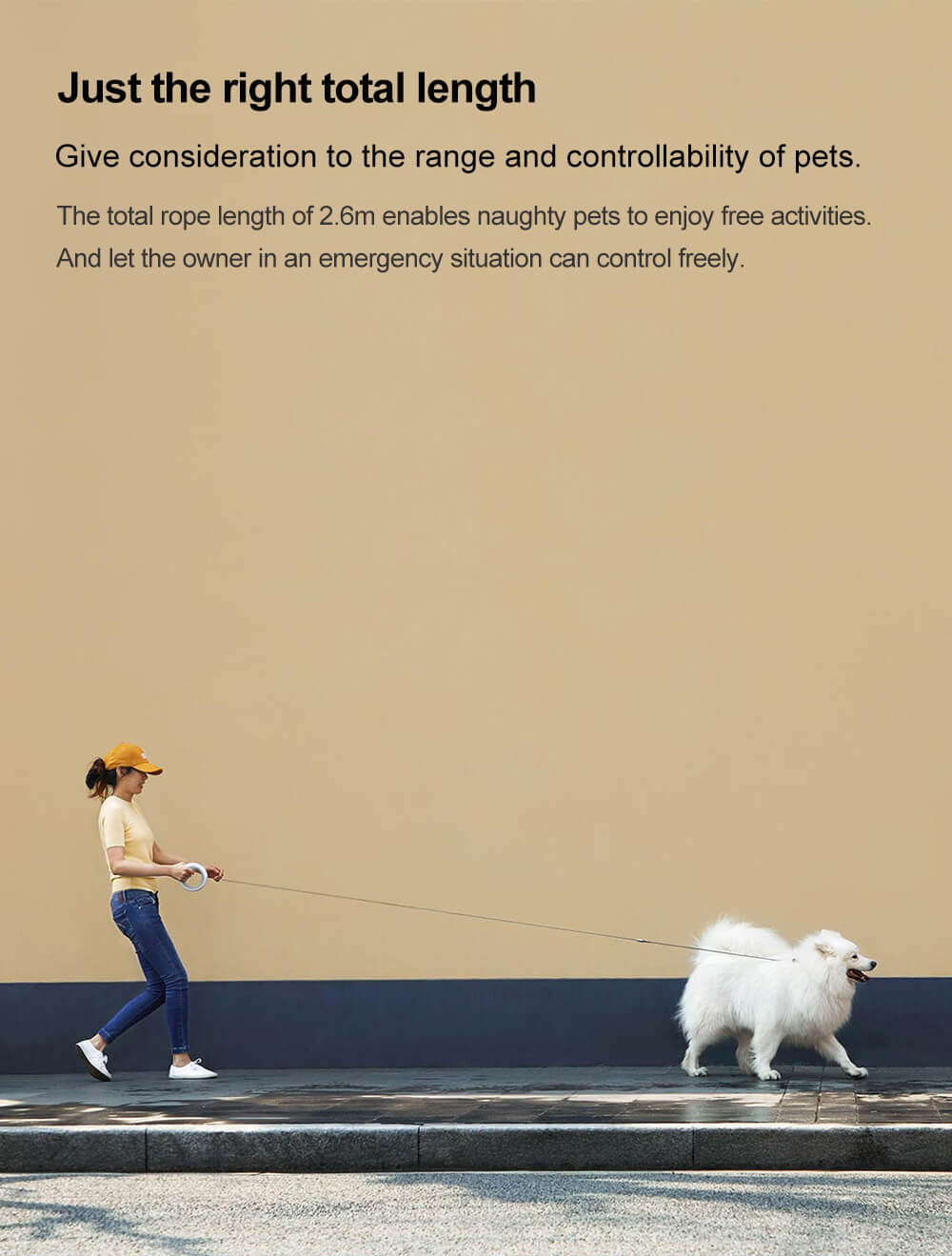 dog leash length