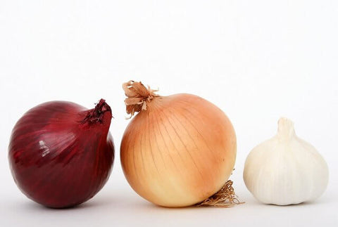 onion and garlic