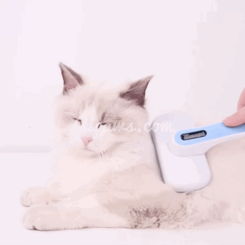 Dog/Cat Grooming Slicker Brush 