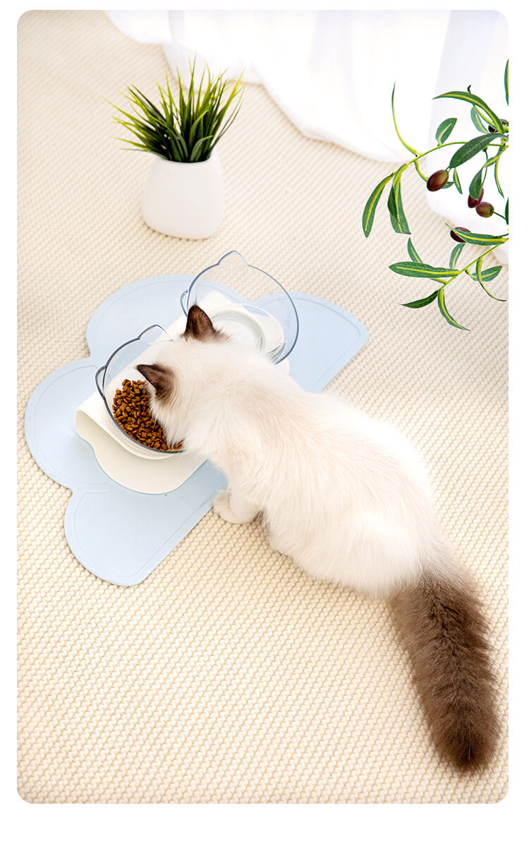 Anti-vomiting-cat-bowl-Posture cat bowl-orthopedic-cat-bowl-raised-cat-bowl-elevated-cat-feeder-cat-bowls-with-stand-large-cat-bowl