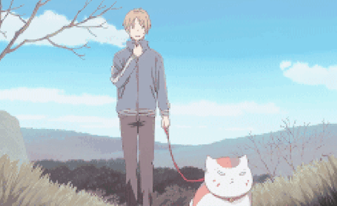walk with cat gif