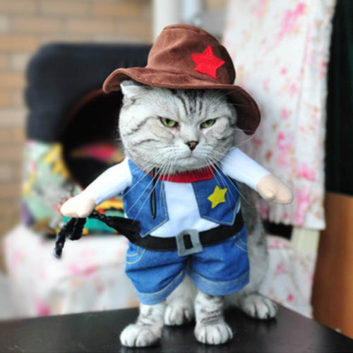 Genshin Impact Hutao Cat Cosplay Costume