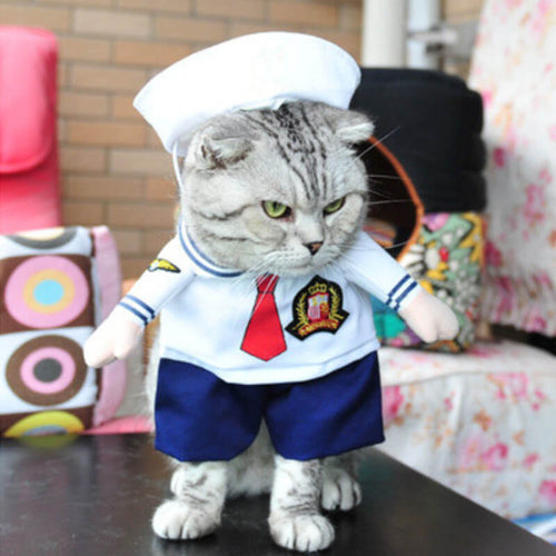 On His Free Time This Guy Makes Anime Costumes For His Cats And Here Are  35 Of The Coolest Ones  Bored Panda