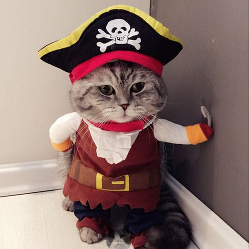 Herere some really cool anime cat costumes you dont want to miss The  Etimes Photogallery Page 8