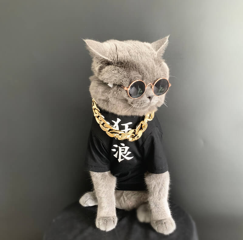 Gangster Cat Costume for Halloween Gold Chain for Cat/Puppy︱Aipaws