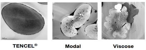 Pictures of cellulose-based fibres under a scanning electron microscope.