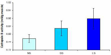 Enzyme activity in salmon muscle homogenates