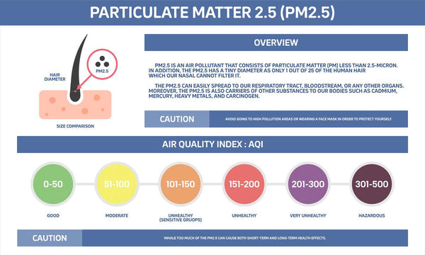 Particulate Matter 2.5