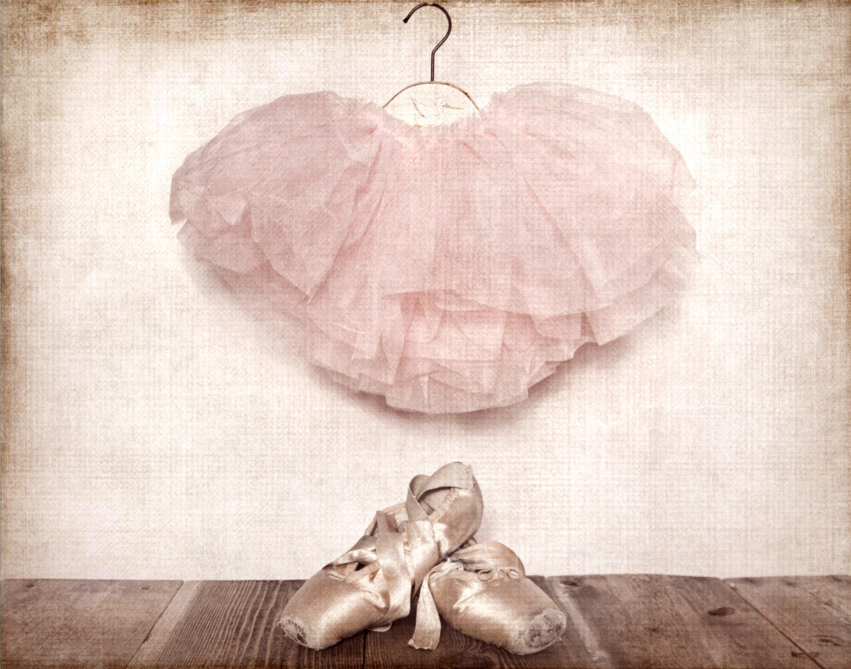 vintage ballet slippers