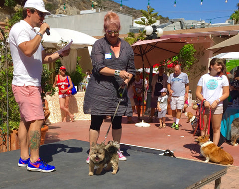 Laguna Beach Pet Parade 2016