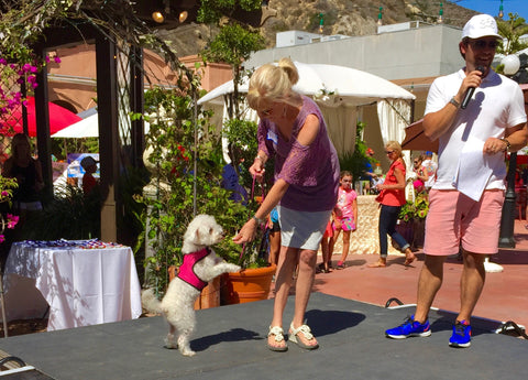 Laguna Beach Pet Parade 2016