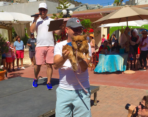 Laguna Beach Pet Parade 2016