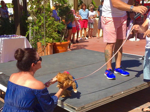 Laguna Beach Pet Parade