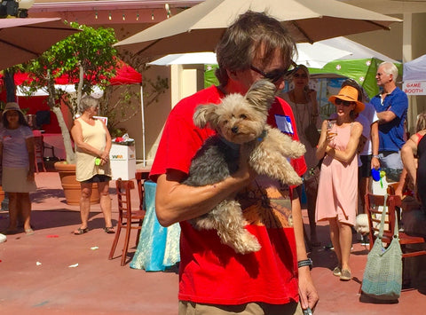 Laguna Beach Pet Parade