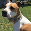 Silver Dog Bow Tie