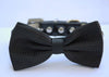 Black dog wedding bow tie collar 