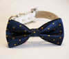 Navy and gold dog bow tie 