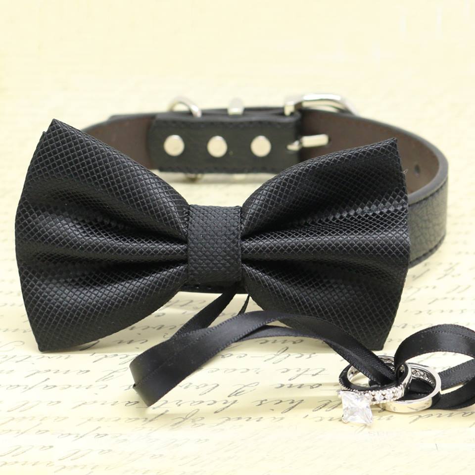 black dog tie